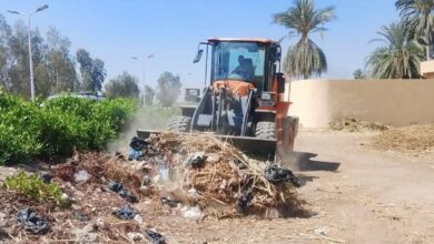 رفع 40طن قمامة ومخلفات خلال حملات مكثفة بميادين الأقصر