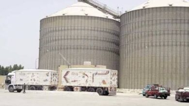 ڜؤن صوامع المنيا تستقبل 14 ألف طن من القمح ضمن موسم توريد 2026