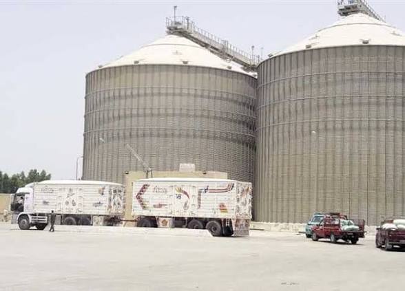 ڜؤن صوامع المنيا تستقبل 14 ألف طن من القمح ضمن موسم توريد 2026