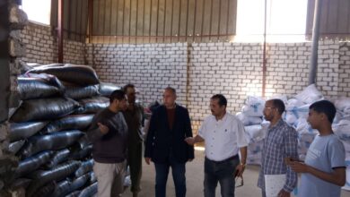 تشديد الرقابة على مصانع الأعلاف بالفيوم لضمان الجودة واستقرار الأسعار