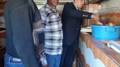 ضبط 50 كيلو أسماك مملحة غير صالحة للاستهلاك الآدمي بسوهاج