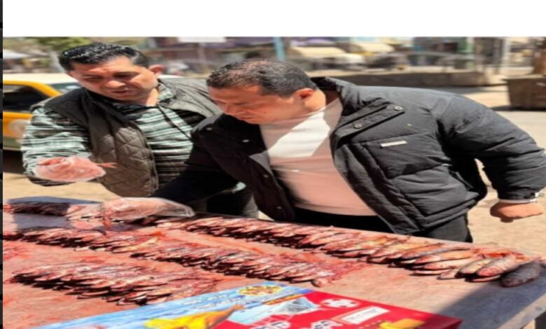 قبل شم النسيم.. تموين الفيوم يضبط كميات كبيرة من الأسماك الفاسدة ويُحبط طرحها بالأسواق