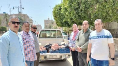 تموين الفيوم تضبط 71 مخالفة تموينية خلال حملات مكثفة على الأسواق والمخابز