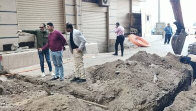 كفر الشيخ يطلق أكبر مشروع للتحول الرقمى بإحلال كابلات الفايبر بدلًا من النحاس