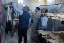 تموين المنيا: تحرير 195 مخالفة وضبط دقيق مدعم قبل تهريبه خلال حملات رقابية مكثفة على الأسواق والمخابز