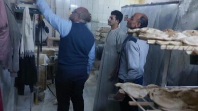 تموين المنيا: تحرير 195 مخالفة وضبط دقيق مدعم قبل تهريبه خلال حملات رقابية مكثفة على الأسواق والمخابز