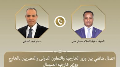 وزير الخارجية ونظيره الصومالي يبحثان تطورات الأوضاع بالصومال وتعزيز الشراكة الاستراتيجية