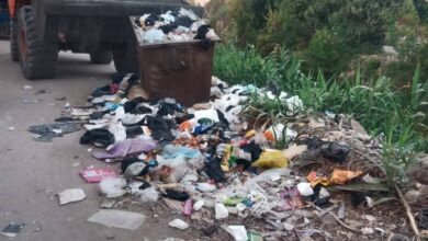 حملات مكثفة لنظافة وتجميل الشوارع بمدينة أرمنت جنوب الأقصر