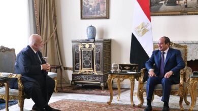 السيسي يبحث مع المجلس العالمي للسفر والسياحة تعزيز التعاون ويؤكد استهداف 30 مليون سائح سنويًا