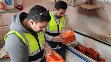 ضبط ربع طن دواجن غير صالحة للاستهلاك الآدمي داخل مكان تجهيز مطعم بطنطا