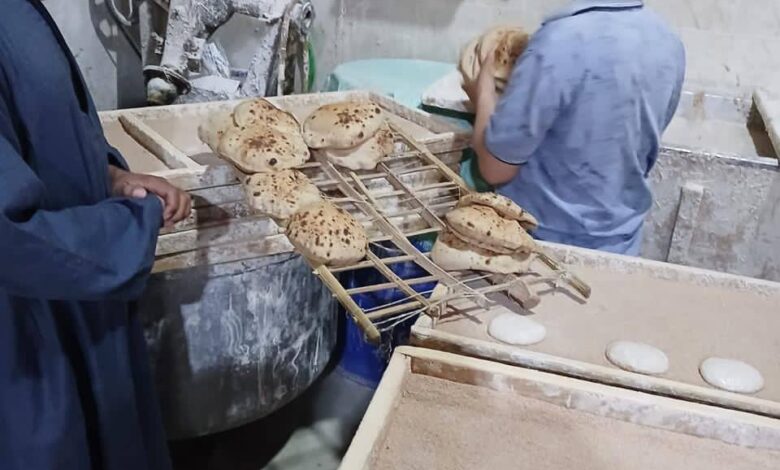 تموين المنيا: 240 مخالفة وضبط 4 أطنان سلع مجهولة المصدر خلال حملات مكثفة على المخابز والأسواق