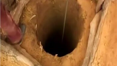 مصرع 3 شباب عقب سقوطهم في بئر مائي بالبدرشين مصرع 3 شباب عقب سقوطهم في بئر مائي بالبدرشين