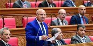 وزير النقل من البرلمان: القطار السريع استثمار طويل الأجل.. وسنغير وجه مصر ونغطي القروض بعوائد الدولارات وزير النقل من البرلمان: القطار السريع استثمار طويل الأجل.. وسنغير وجه مصر ونغطي القروض بعوائد الدولارات