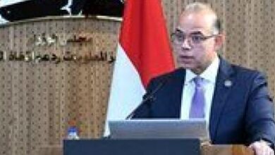 وزير الاستثمار: بوابة معلومات التجارة الخارجية تفتح آفاقًا جديدة أمام المصدر المصري وتعزز نفاذ الصادرات الوطنية