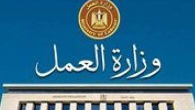 وزارة العمل تعلن عن 85 فرصة عمل بالإسماعيلية من بينها وظائف لذوي الهمم