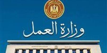 وزارة العمل تعلن عن 85 فرصة عمل بالإسماعيلية من بينها وظائف لذوي الهمم وزارة العمل تعلن عن 85 فرصة عمل بالإسماعيلية من بينها وظائف لذوي الهمم