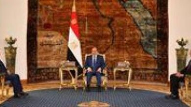 الرئيس السيسي يستقبل نبيل فهمي المرشح لمنصب الأمين العام لجامعة الدول العربية