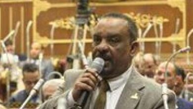 النائب أحمد حافظ: القاهرة أصبحت عاصمة صناعة التوافقات الإقليمية بفضل دبلوماسية الرئيس السيسي