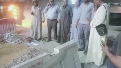 «مستقبل وطن» بالبدرشين ينهى مشكلة انقطاع التيار الكهربائي بمنطقة القطار السريع «مستقبل وطن» بالبدرشين ينهى مشكلة انقطاع التيار الكهربائي بمنطقة القطار السريع