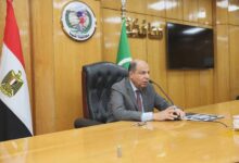محافظ المنيا يوجه بحلول فورية لعدد من المطالب الخدمية والإنسانية