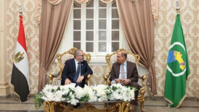محافظ المنيا: التسجيل والوعي المجتمعي أساس نجاح منظومة التأمين الصحي الشامل