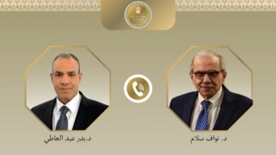 وزير الخارجية يؤكد تضامن مصر مع لبنان في اتصال مع نظيره اللبناني