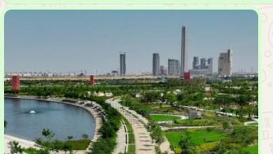 النهر الأخضر بالعاصمة الإدارية الجديدة