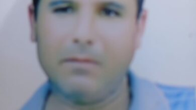احمد عبد الحميد يكتب : التناغم الخفي بين العربية والإنجليزية