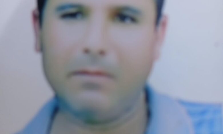 احمد عبد الحميد يكتب : التناغم الخفي بين العربية والإنجليزية