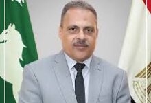 مياه الشرقية: الانتهاء من أعمال إحلال وتجديد خط مياه السعديين بفاقوس