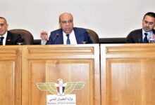 وزير الطيران : سلامة المطارات أولوية قصوى وتحرك وطني للحد من مخاطر الطيور