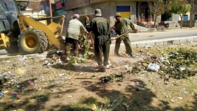 رفع 180 طن مخلفات وإزالة بناء مخالف بأحياء مدينة الأقصر رفع 180 طن مخلفات وإزالة بناء مخالف بأحياء مدينة الأقصر