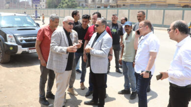  محافظ الشرقية يتفقد مخطط أعمال التطوير الجاري تنفيذه بفاقوس  