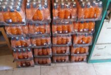صحة بني سويف ٠٠ضبط 166 كيلو أغذية و620 لتر مشروبات وألبان منتهية الصلاحية في حملات تفتيش ببني سويف