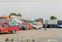 تموين بني سويف ٠٠توريد 353 ألف طن من الأقماح المحلية بالصوامع والشون ببني سويف منذ بداية موسم الحصاد