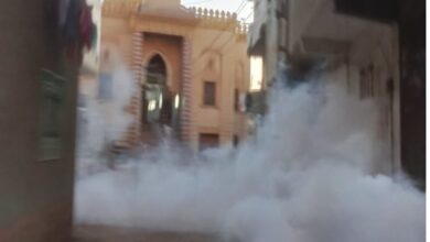  تكثيف حملات رش الناموس والحشرات الطائرة بمراكز الشرقية  