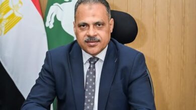   بدء صرف الدفعتين الثانية والثالثة من المنحة للعمالة غير المنتظمة بالشرقية  