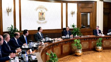 رئيس الوزراء يتابع موقف الإعداد لتنفيذ التعداد العام للسكان والإسكان والمنشآت