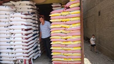 ضبط 2 طن ذرة صفراء و900 كيس شعرية سريعة التحضير مجهولة المصدر بمركز قلين