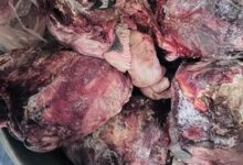 تموين الفيوم يشن حملات مكثفة ويضبط نحو نصف طن من اللحوم والدواجن الفاسدة .