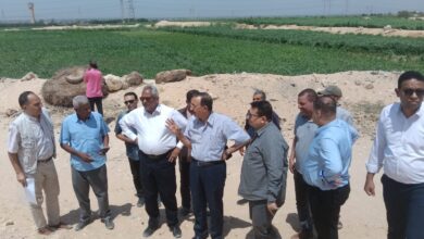 استجابة للأهالي.. محافظ سوهاج يتفقد بدائل إنشاء مقابر جديدة بطهطا ويعاين مزرعة الصرف الصحي بنزلة عمارة