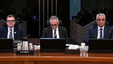 وزير التخطيط يستعرض ملامح التقرير الوطني الطوعي الرابع لمصر لعام 2026