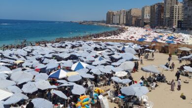 محافظة الإسكندرية : شواطئ القطاع الشرقي تسجل إشغالًا كاملًا في آخر جمعة من يوليو