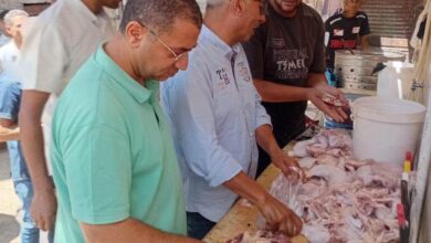 محافظ المنيا يوجّه بتكثيف حملات التفتيش ومحاسبة المقصرين للارتقاء بالأداء المؤسسي وتحسين الخدمات