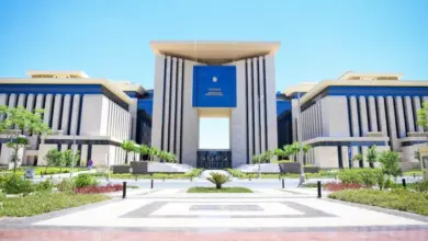 مصر تدين الغارات الإسرائيلية على مطار أبو الظهور العسكري في دمشق
