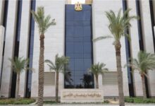 ضبط 880 عبوة مبيدات غير صالحة ببني سويف والفيوم والزراعه تُحيل الواقعة للنيابة