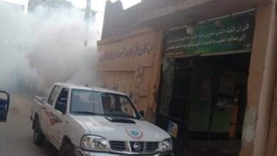 محافظ الشرقية  تكثيف حملات رش الناموس والحشرات الطائرة بنطاق المحافظة  