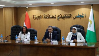 محافظة الجيزة تنظم ندوة حول الأمن السيبراني والاستخدام الآمن للإنترنت للمرأة وذوي الهمم