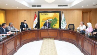 الفيوم تُحكم إجراءات طرح مشروعات الخطة الاستثمارية.. توجيهات لتوحيد آليات التعاقد وتسريع التنفيذ