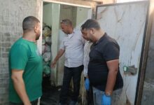  محافظة الجيزة تضبط 8 أطنان من اللحوم والأحشاء الفاسدة بالعمرانية
